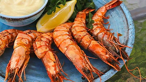 business of prawns get affected due to corona and navratri 