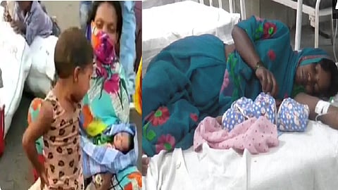pregnant woman mp.png