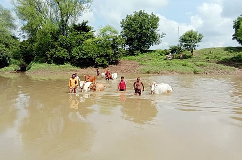 file photo