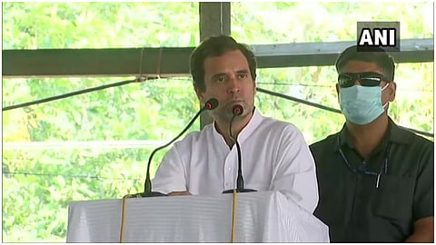 rahul gandhi.