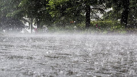 rain.jpg