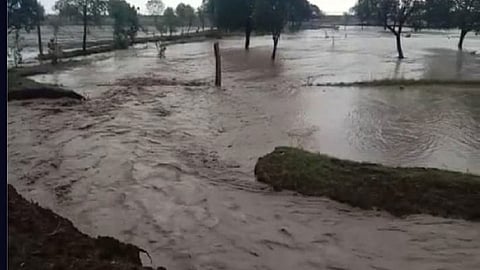 rain.jpg