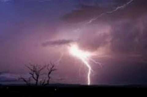 Rain showers on Vidarbha