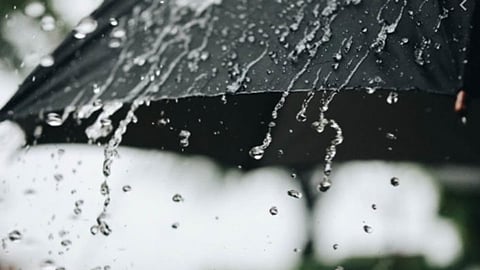 rain