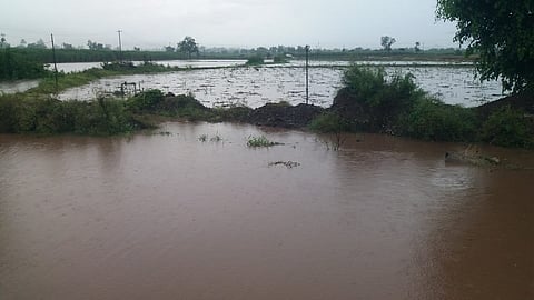rain