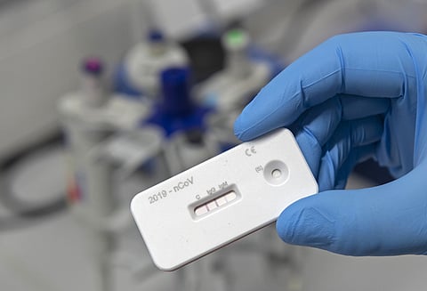 rapid antigen testing