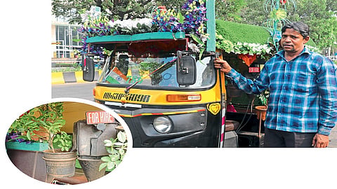 नेरूळमध्ये चक्क रिक्षातच वृक्षलागवड! काही दिवसात लागली फळे...