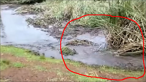 bizarre sinkhole swallows everything in its path at kenya video viral