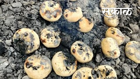 12 got poison from lunch in bhidi of wardha