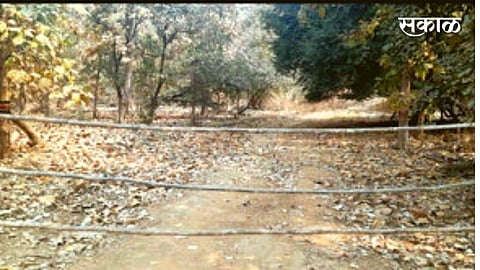 roads which goes to forest will close by forest department in wardha 