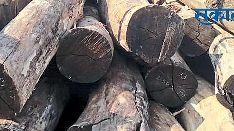 Timber smuggling