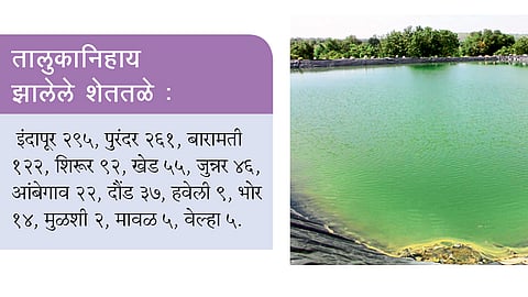 इंदापूर तालुक्याची शेततळेनिर्मितीत आघाडी 