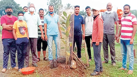 शिरवड्यात रुजतेय वृक्ष संवर्धनाची चळवळ; 'मागेल त्याला मोफत झाड' योजनेच फलित