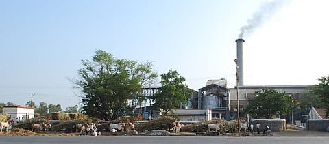 The crushing season of 9 out of 39 factories in Solapur district has started