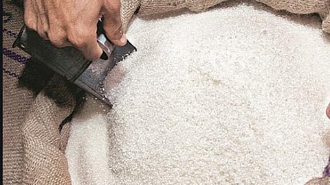 देशात ३०५ लाख टन साखर उत्पादन शक्य; महाराष्ट्रात उत्पादन वाढणार 