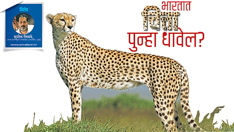 sunil limaye
