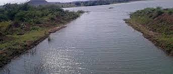 The Gorewadi right canal will be extended and the water will be released into the dhorale