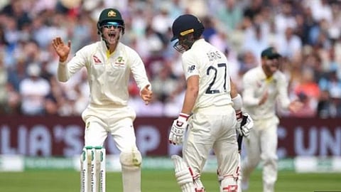 cricket