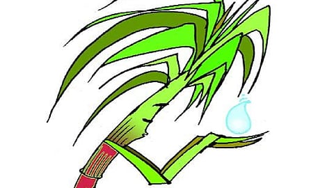 the employees of sugar factory ignores people the topic of sugarcane bill in sangli