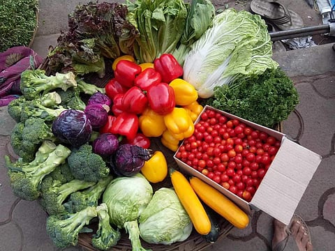 Vegetable prices rise due to return rains