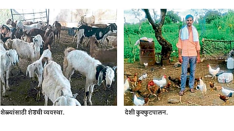 yogesh-mahajan