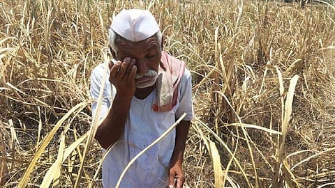 many farmers in yavatmal district did not get their loans back from banks 