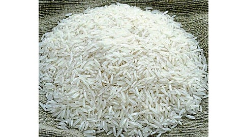 मोफत तांदळाचा भात शिजतोय कुठं ? 