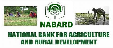 nab.jpg