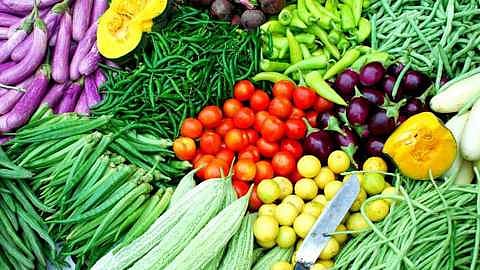 vegetable - Copy.jpg