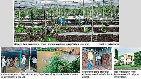 प्रयोगशील भाजीपाला शेतीतून अर्थकारण उंचावलेले गिरणारे