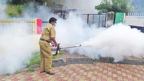 मुंबईत डेंग्यू डासांचा उद्रेक थांबला; कोरोनाकाळात केलेल्या उपाययोजनांना यश