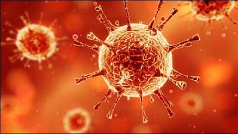 CCHF disease  is spreading from pet animals 