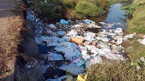 Dead hens are found in river in Nagpur District 