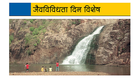 सात ठिकाणांना जैवविविधता वारसास्थळांचा दर्जा 