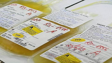 26THLTPLASMA.jpg