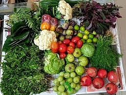 Decreased inflow of goods in the market committee