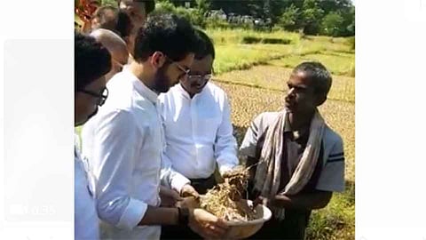 Aaditya Thackeray Visits Konkan Nonseasonal Rains Affected Farmers 
