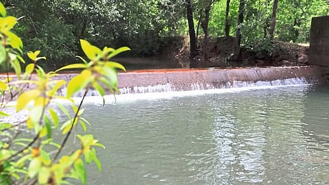 Watershed Dams In Sangameshwar Taluka Unsafe 