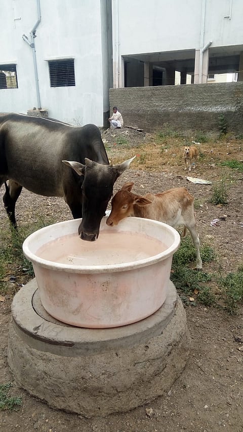 जेथे एक ड्रमसाठी पैसे मोजावे लागतात तेथे ते चालवितात पाणपोई 
