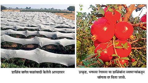 संघर्षातून उजळल्या प्रगतीच्या वाटा 