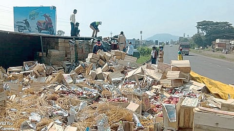 सातारा : दोघांना वाचवण्याऐवजी लोकांचा सफरचंदांवर डल्‍ला