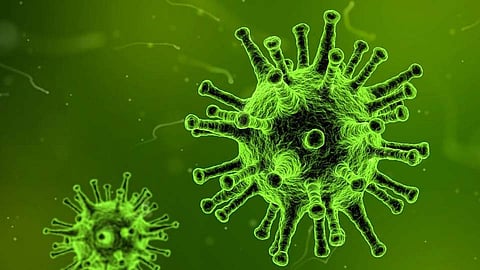 CoronaVirus : पिंपरी-चिंचवडमध्ये वाढले आणखीन रुग्ण; आता रुग्णांची संख्या झाली...