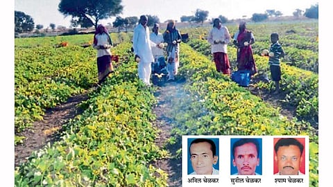 घरातील प्रत्येक माणूस शेतात काम करतो, त्यामुळे शेतीबद्दल आपुलकी वाटते आणि कुटुंबात एकी राहत असल्याचे अनिल चेळकर सांगतात.