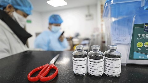 plasma therapy and acterma These two treatments are proving successful