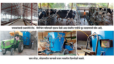Dairy-Project