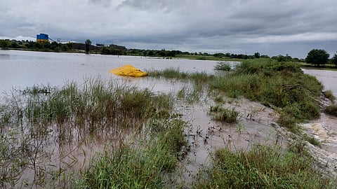 Damage