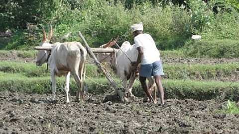 Farmer
