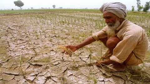 Farmer