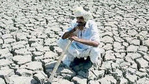 Farmer