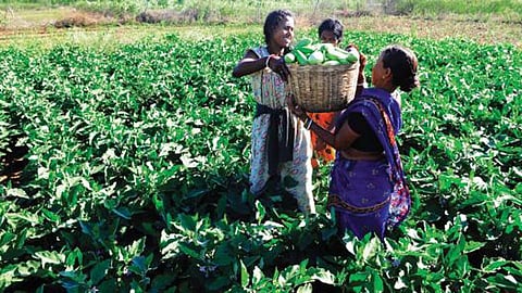 81 per cent of agricultural businesses results